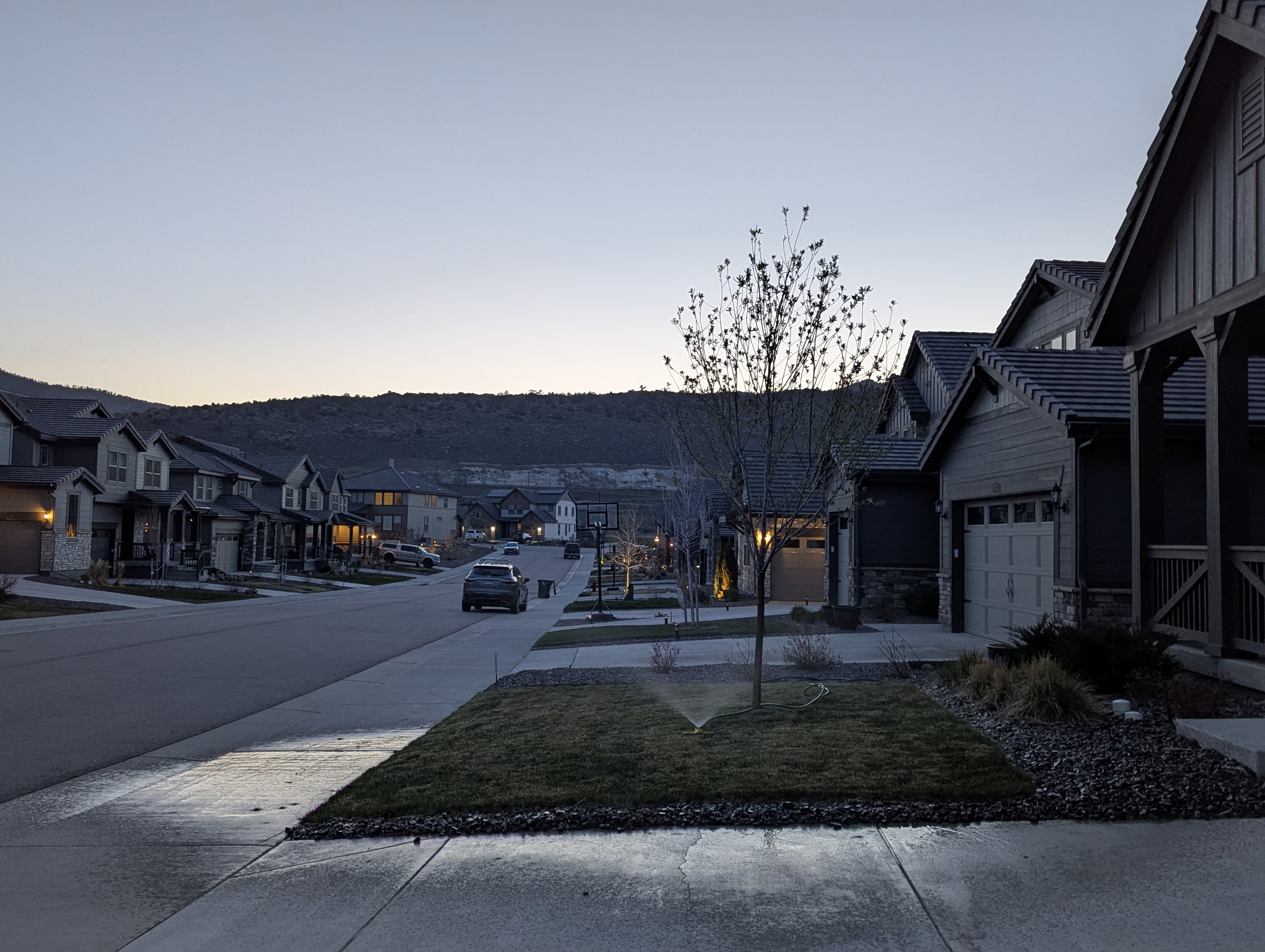 Garden, Flowers, Morrison, Colorado